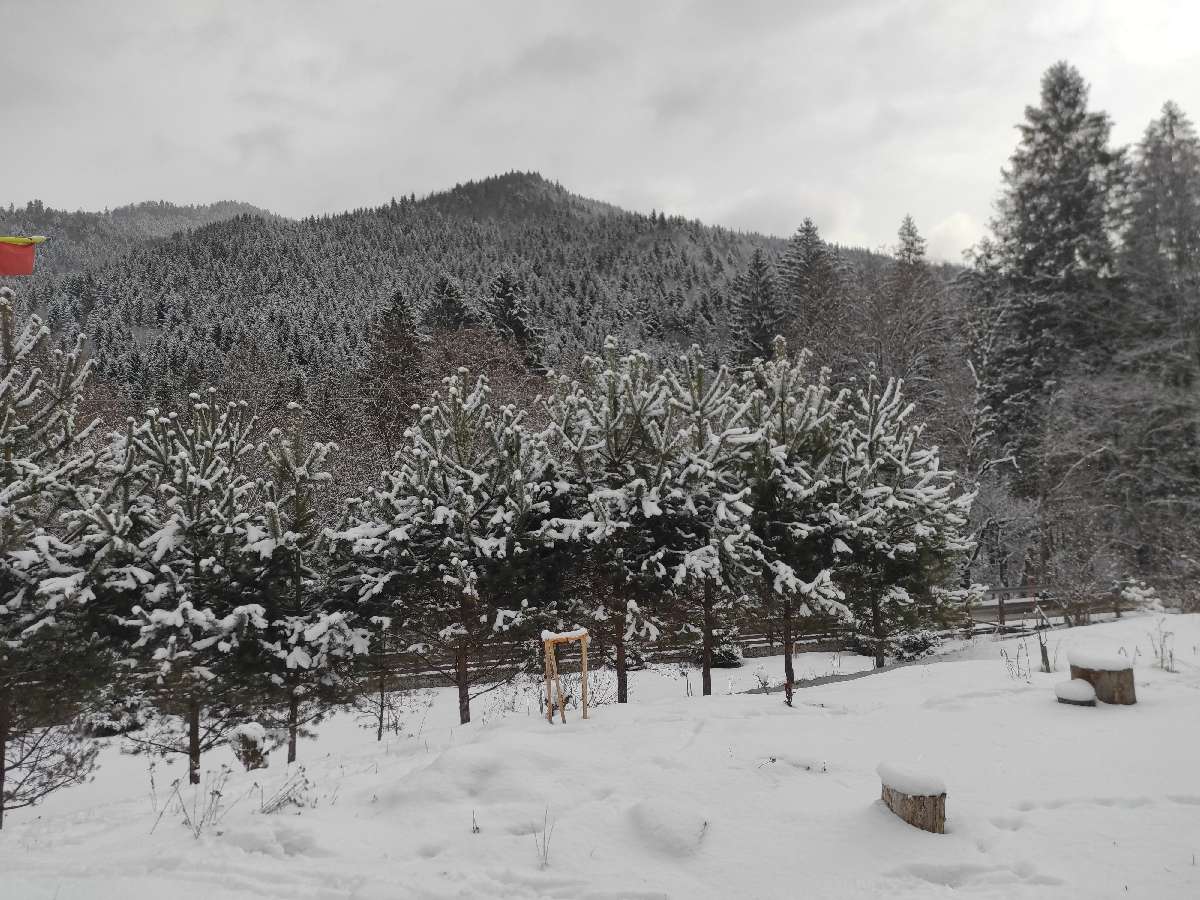 Andrei++U-Day+4+Lo-1-s4c9